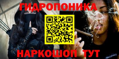 мдпв Ярославль