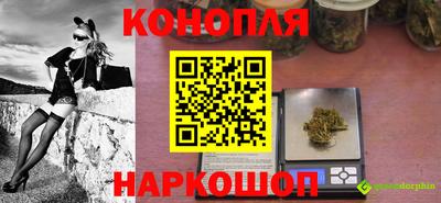 мдпв Ярославль